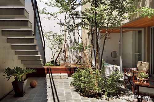 W residence