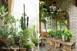 More About Green　ライフスタイルに合った植物選び